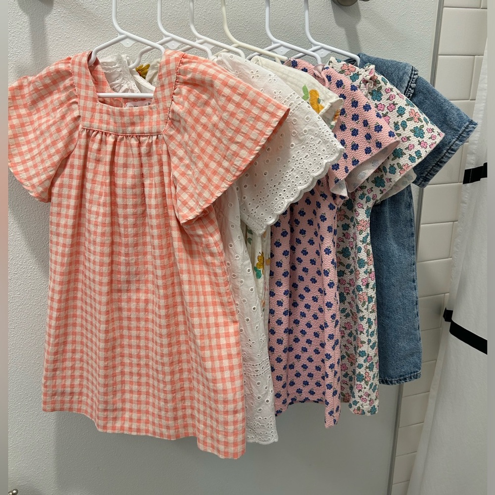 Bundle of Zara Toddler Dresses (6)